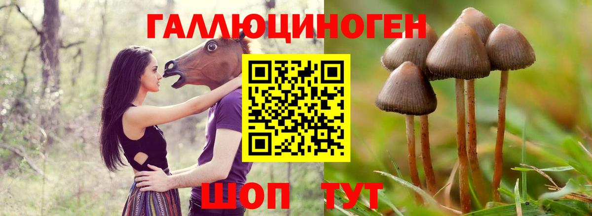 Галлюциногенные грибы MAGIC MUSHROOMS  Вход с VPN  Миасс  Галлюциногенные грибы Psilocybine cubensis 